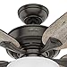 Hunter Fan 54 inch Casual Noble Bronze Indoor Ceiling Fan with Light Kit (Renewed) (Noble Bronze)