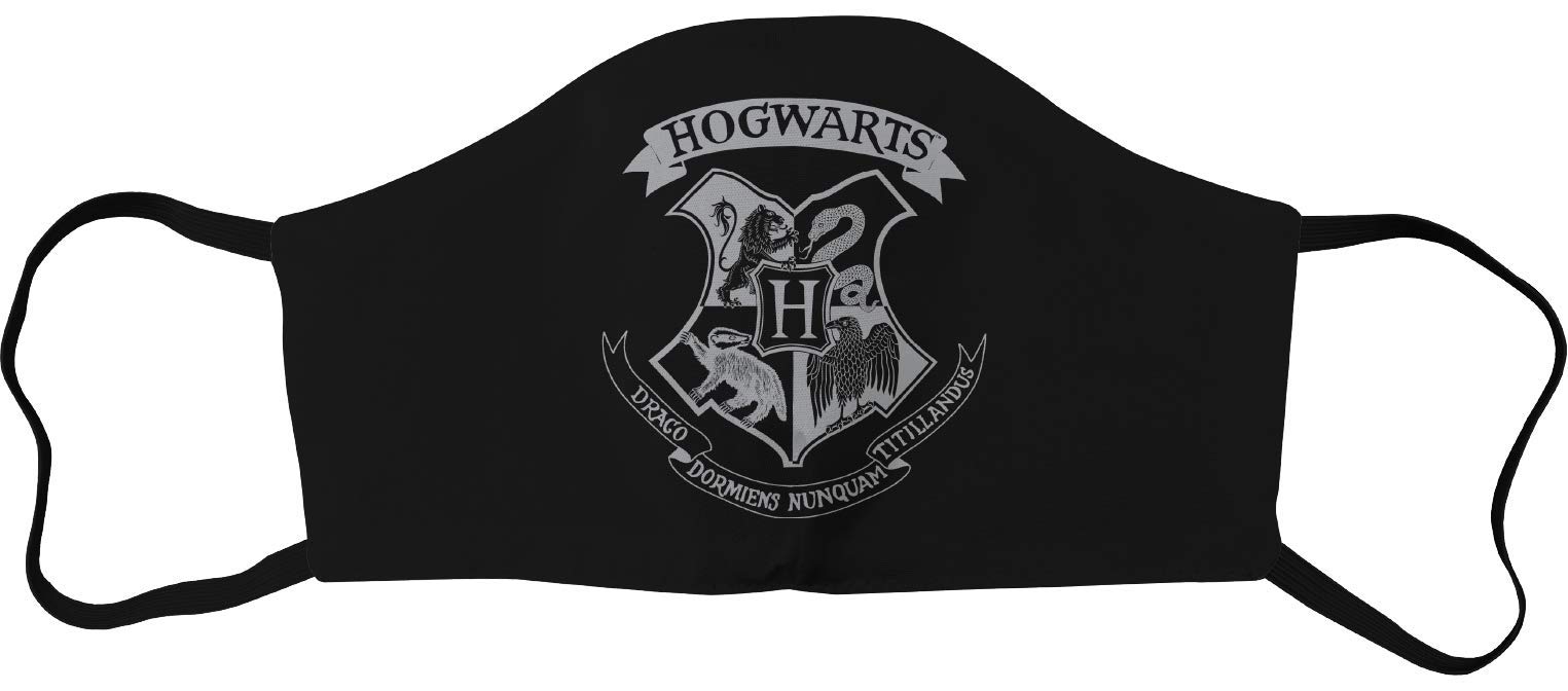 HARRY POTTER Unisex ACHAPOMMS047_A Mask, opacity, Black, ADULTE