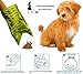PAINISTIC Ourhome Dog poop bag lavender scented, Refill Rolls, Leak-Proof Pet Waste Bags, Includes Free Bone Dispenser-EPI Technology,Biodegradable, Pet Supply, Bulk roll,Clean, Green, (43396-137621)