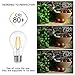 SHINE HAI A19 LED Vintage Filament Bulb, 4W (40W Equivalent), 2700K Warm White, E26 Base, Omnidirectional, Pack of 18