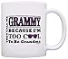 ThisWear Mother's Day Gift for Grammy Too Cool to Be a Grandma Sunglasses Gift 11oz Ceramic Coffee Mug with Handle White