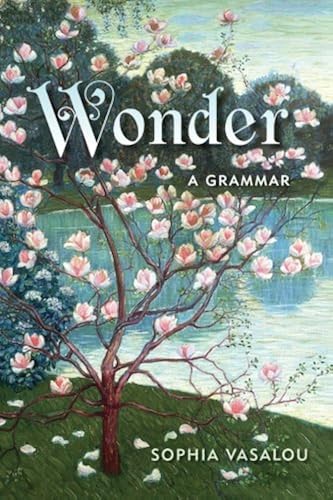 Download Wonder: A Grammar PDF