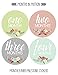 Months In Motion - Baby Month Stickers - Monthly Baby Sticker for Girls - Floral (1105)