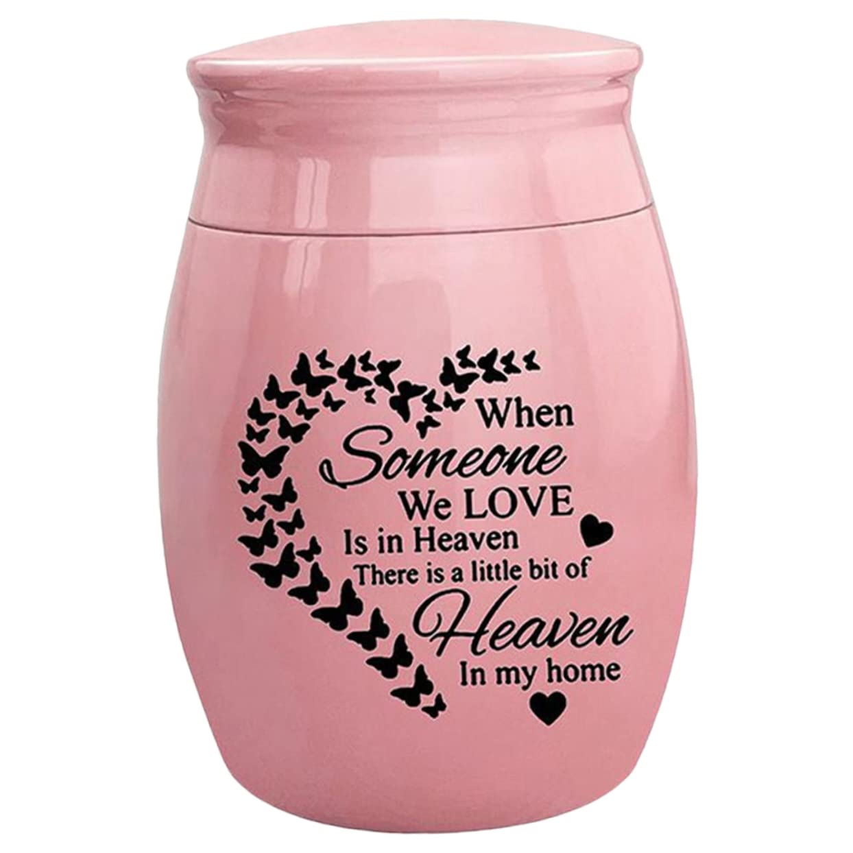RORPOIR Small Keepsake Urn for Pet Ashes Stainless Steel Memorial Box Urn for Dogs and Cats Lid for Sharing Ashes Thoughtful Memorial Present