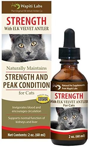 Wapiti Labs Strength Formula for Strength and Peak Condition - 2 oz