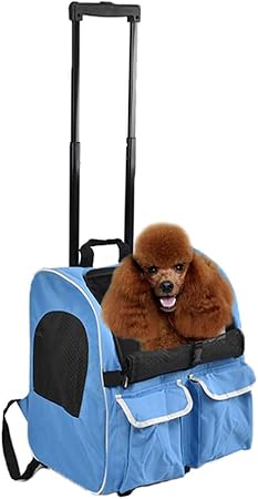 brighton dog carrier