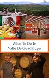What To Do In Valle De Guadalupe (What To Do In ... Book 17) by Richard Hauser