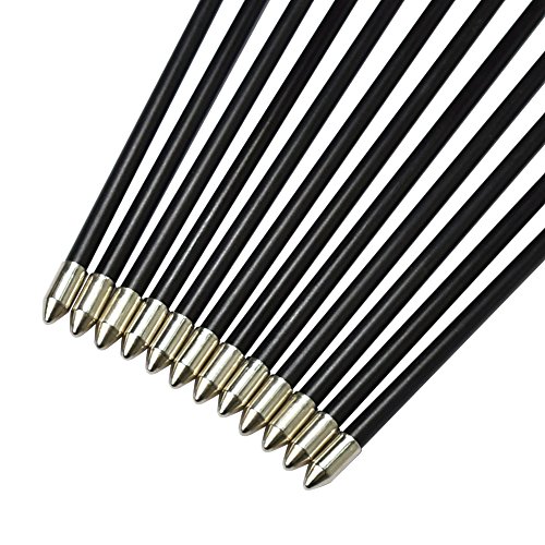 NIKA ARCHERY Fiberglass Arrows for Youth Practise Recurvebow Compound Bow Shooting 12X 24 inch - Thumbnail 2