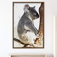Framed Canvas Wall Art Koala Animals Expressive Koala Living Room Multicolor Photography Tropical - 16x24 inches