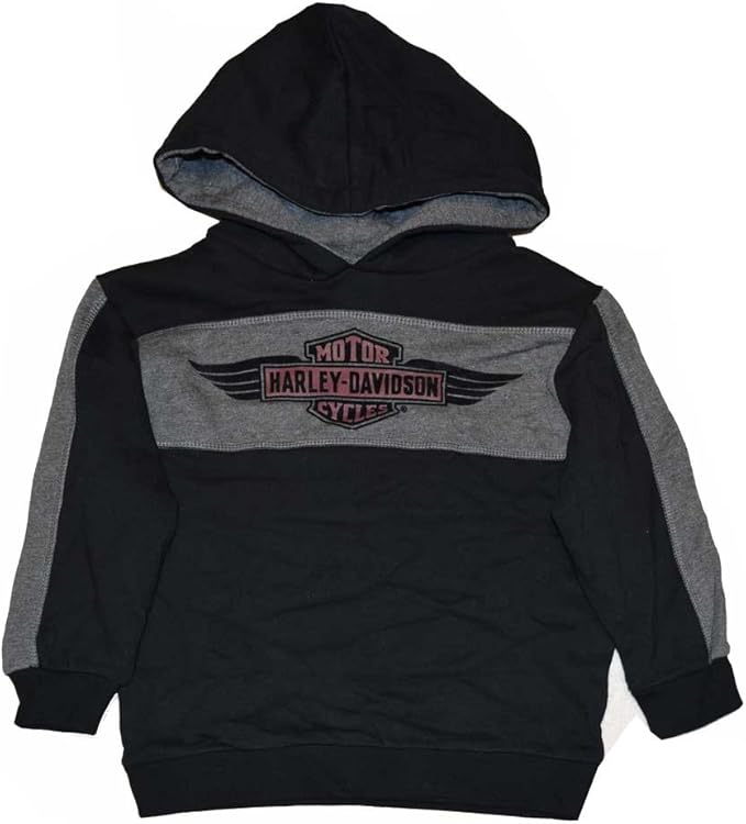 HarleyDavidson Little Boys' Hooded Sweatshirt, Wing B&S