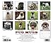 Pug Mugs 2015 Wall Calendar