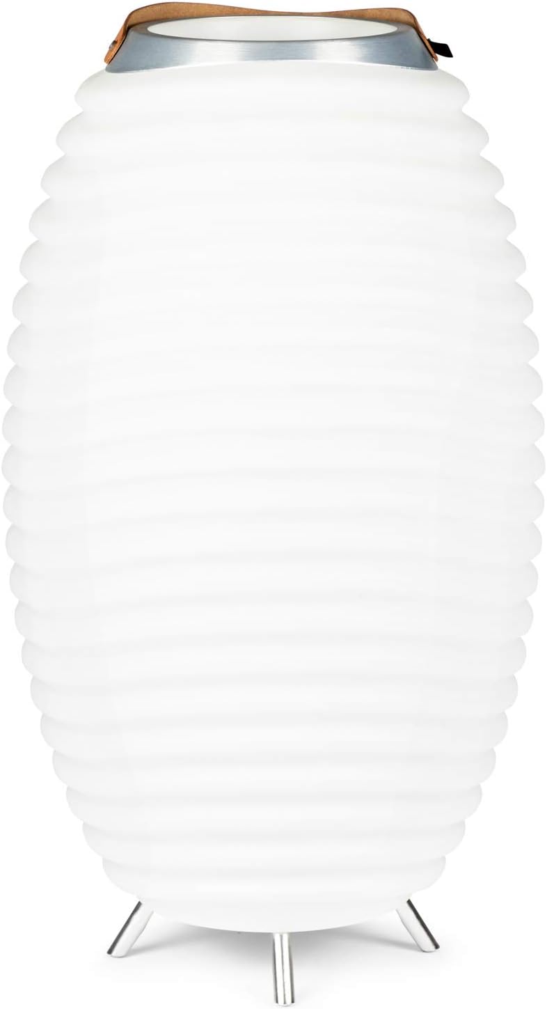 synergy 65 led bluetooth speaker