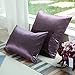 Lumbar Throw Pillow Covers Eggplant - PONY DANCE Light Weight Special Dryed Stipes Shining Pillowcase Rectangular Cushion Covers Decorative, Purple, 12 by 20 in, 2 Pieces