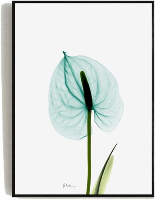 SAN QIAN WAN Wall Paintings Creative Entrance Plant Murals Canvas Wall Art DIY Murals Abstract Small Fresh Living Room Decor Painting Wall paintings ( Color : C , Size : S )