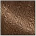 Garnier Nutrisse Nourishing Hair Color Creme, 61 Light Ash Brown (Mochaccino) (Packaging May Vary)