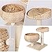 Pedy Cat Tree with Scratching Post, Sisal-Covered Climbing Cat Tower, Cat Activity Tree with Paper Rope and Cat Tree House with Perch, 2 Story Cat Condo Great for Kitten