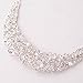 Jane Stone Fashion Statement Necklace Bling Rhinestone Choker Collar Chunky Jewelry for Women(Fn1054-Silver)