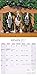American Pit Bull Terrier Calendar 2017 - Dog Breed Calendars - 2016 - 2017 wall calendars - 16 Month by Avonside