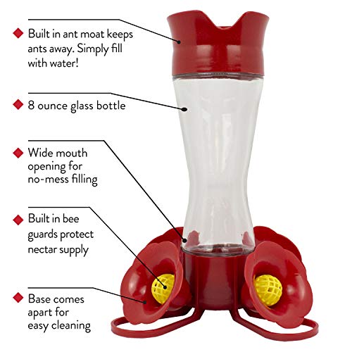 PerkyPet 203CPBN2 PinchWaist Glass Hummingbird Feeder With Perches