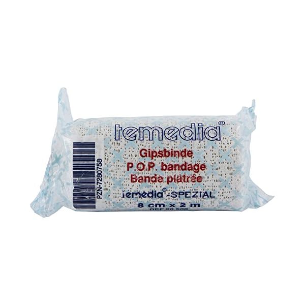 GIPSBINDE Temedia spezial 8 cmx2 m 1 St