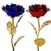 Unite Stone Gifts for Her 2pcs 24K Red&Blue Gold Rose，Roses Flowers for Mom Women from Daughter Son, Birthday, Anniversary, Valentines Day, Christmas for Women