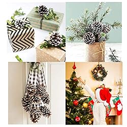 24 PCS Pine Cones for Christmas Tree Snowflake