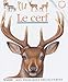 Mes Premieres Decouvertes: Le Cerf (French Edition) by