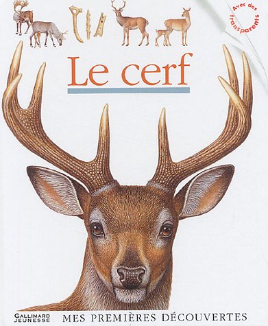 Mes Premieres Decouvertes: Le Cerf (French Edition) by (Album)