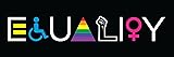 Imagine Signs | Equality Car Magnet | 12" x