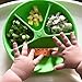 green sprouts Learning Plate