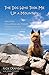 The Dog Who Took Me Up a Mountain: How Emme the Australian Terrier Changed My Life When I Needed It by 