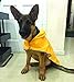 RC Pet Products Price Incorrect Cartoon pet coats, Sunshine, XXL US