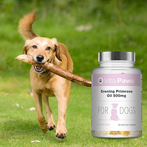 evening primrose oil for dogs hormones