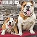 Just Bulldogs 2020 Wall Calendar (Dog Breed Calendar)