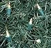 Novelty Lights 5 Feet 20 Bulbs Vintage Short Mini Light String, Clear Bulbs on Green Wire, 4-Inch Spacing Fairy Lights, Connectable End-to-End, UL Listed for Indoor/Outdoor