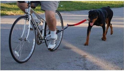 K9 Cruiser Bicycle Leash