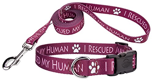 Country Brook Design I Rescued My Human Deluxe Dog Collar Amp Leash Small Buy Online In Brunei At Brunei Desertcart Com Productid 45754527
