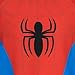 Spiderman Boys' Two Piece Swim Set 5