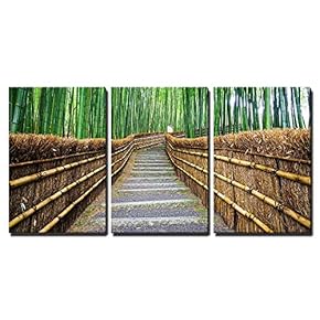Bamboo Forest in Kyoto Japan Wall Decor x3 Panels