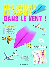 Des  avions en papier dans le vent !
