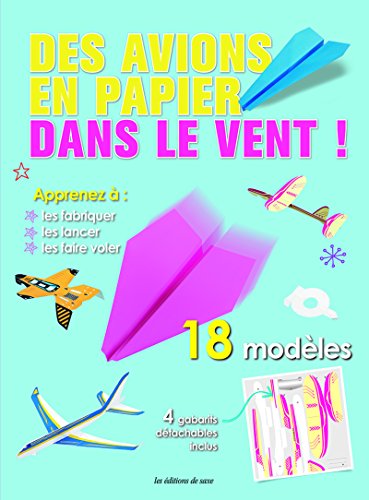 Des  avions en papier dans le vent !