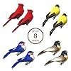 12 Decorazioni Natalizie Con Cardinali Rossi Su Bastoncino Banberry Designs - Plettri Floreali Con Pigne E Bacche Per Centrotavola Fai Da Te - 4