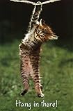 Kitten - Hang in There Poster Print (22 x 34)