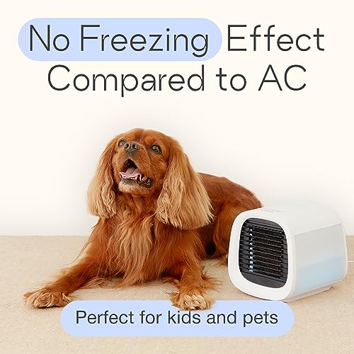 Evapolar evaCHILL Portable Air Conditioners - Portable AC Unit - Small Personal Evaporative Air Cooler & Fan for Desk, Office, Car, Camping, Grey