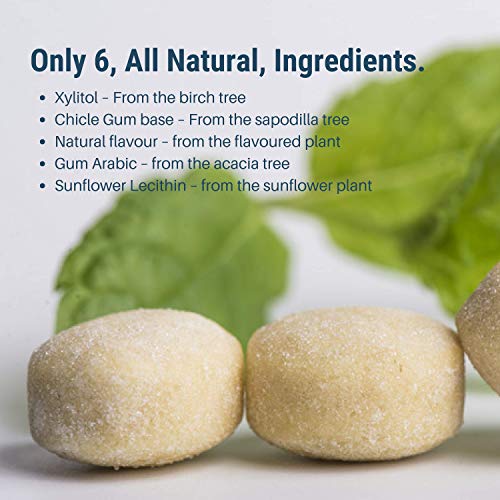 The Humble Co. Natural Chewing Gum (6pack) - Keto, Vegan, Sugar Free, Aspartame Free, Non GMO, 100% Xylitol for kids and adults (Peppermint)) - Thumbnail 2