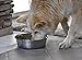 Our Pets Durapet Premium Rubber-Bonded Stainless Steel Dog Bowl 4.5 Quart, 13 Cups, 10.9