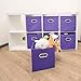 MaidMAX Storage Bins 12x12x12, for Home Organization and Storage, Toy Storage Cube, Closet Organizers and Storage, with Dual Plastic Handles, Purple, Set of 6