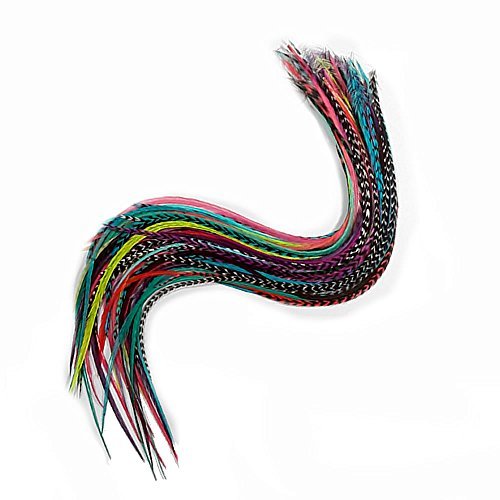 Feather Hair Extensions, 100 Real Rooster Feathers, Long Rainbow