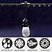 SUNTHIN 24ft G40 LED String Lights 2700K Globe Hanging Loops 12Pcs E12 Sockets and 13 G40 1 Watt Bulbs Included 1 Spare 2ft Spacing Indoor Outdoor Patio Lights UL ETL Listed Waterproof