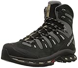 Salomon Men's Quest 4d 2 Gtx Backpacking Boot, Detroit/Black/Navajo, 12 M US